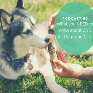 [Ep80] Medical Marijuana for Pets: What's NEW and WORKING Now