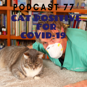 [Ep77] Cat Tests Positive for COVID-19, Pet Friendly Disinfectants, Dogs sniffing out people sick with SARS-CoV2