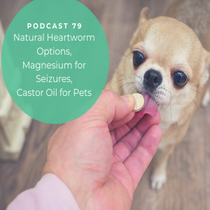 [Ep79] Heartworm Alternatives, Magnesium for Dog Seizures, Castor Oil for Allergies and Arthritis