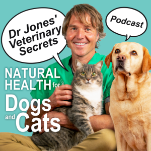 [Ep 101]Why Your Pet Gets Sick, New Dog and Cat Recipes, COVID 19 and Pets