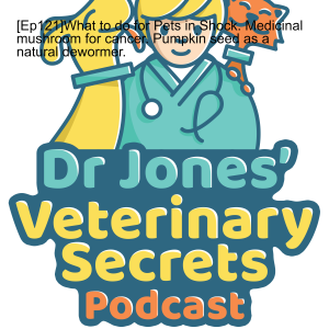 [Ep121]What to do for Pets in Shock. Medicinal mushroom for cancer. Pumpkin seed as a natural dewormer.
