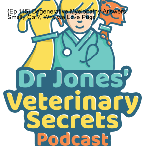 {Ep 115} Degenerative Myelopathy Answers, Smelly Cat?, Why we Love Pugs