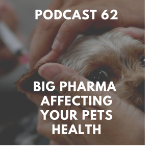 [Ep 62] Dog Head Tilt, Allergy Answers, Big Pharma Concerns...