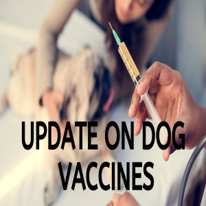 [Ep66] Dog and Cat Vaccine Update, CBD for Autoimmune Disease