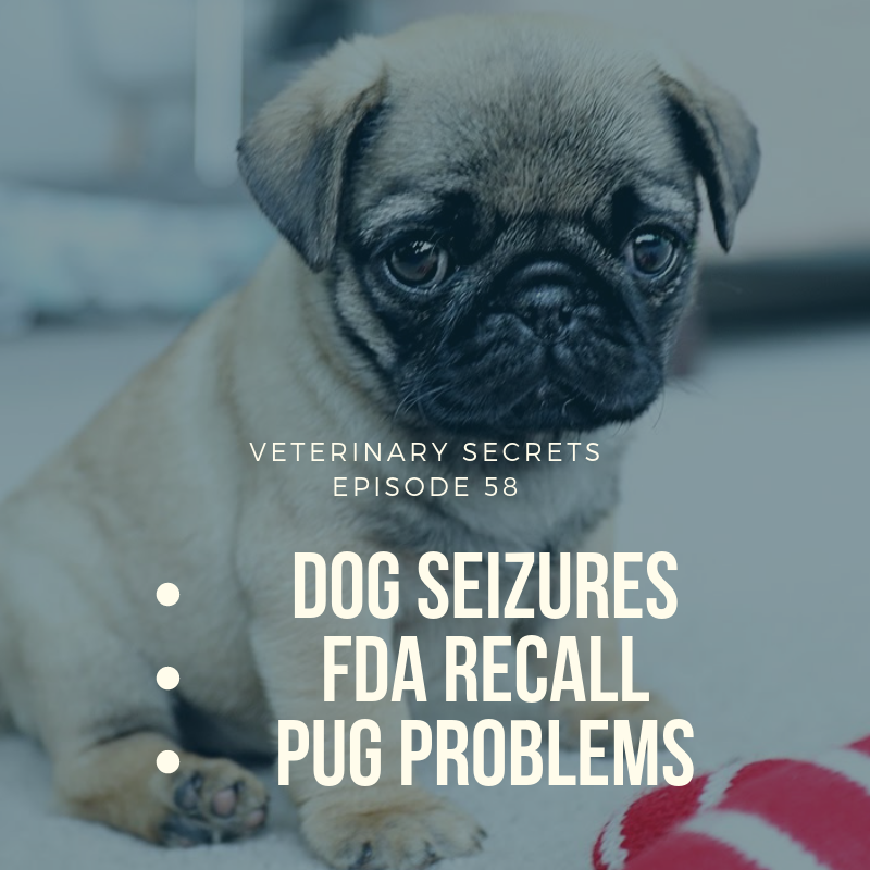 Veterinary Secrets