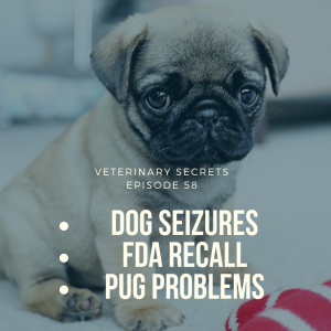 [Ep 58] 5 New Dog Seizure Remedies; FDA Pet Food Recall; Pug Problems