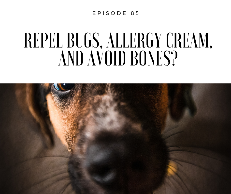 Veterinary Secrets