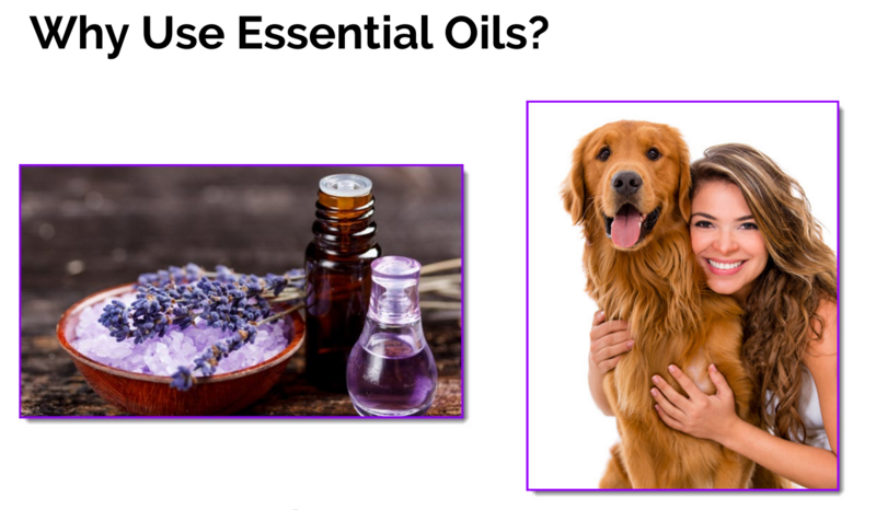 [Ep35] Dog Fear Biting Answers, Super Nutrient Bee Pollen, Essential Oils for Pets!