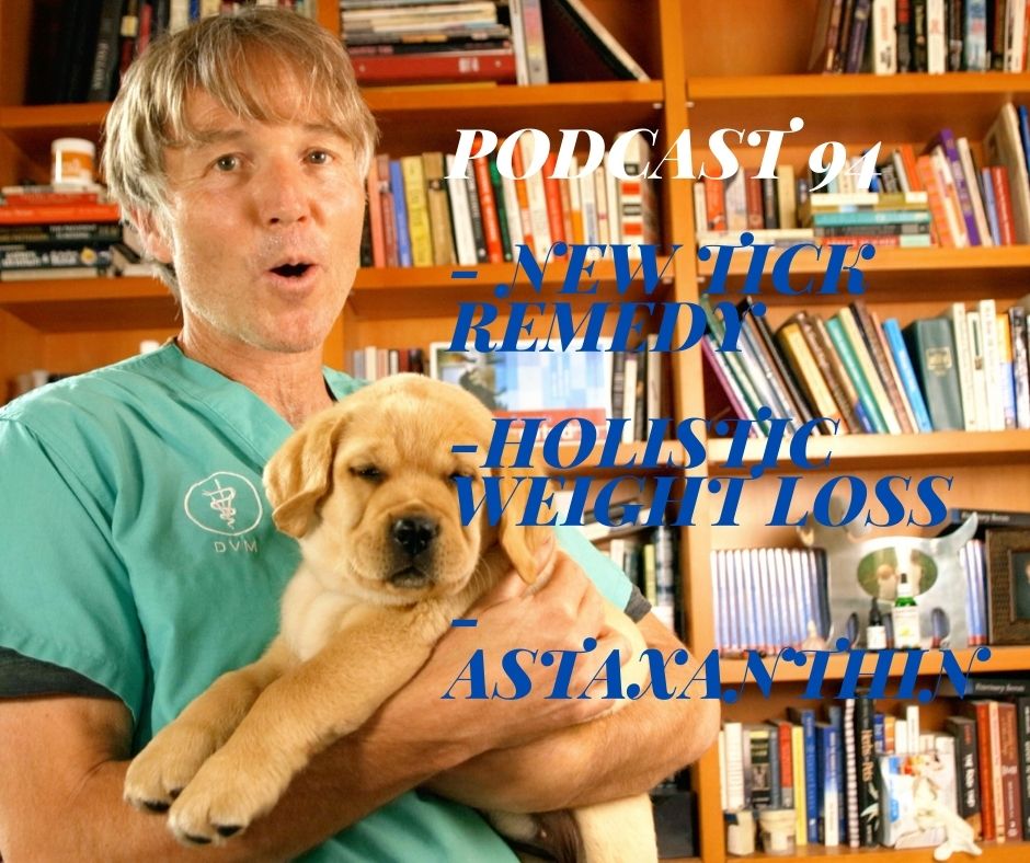 Veterinary Secrets