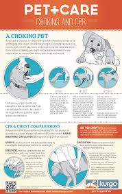Veterinary Secrets