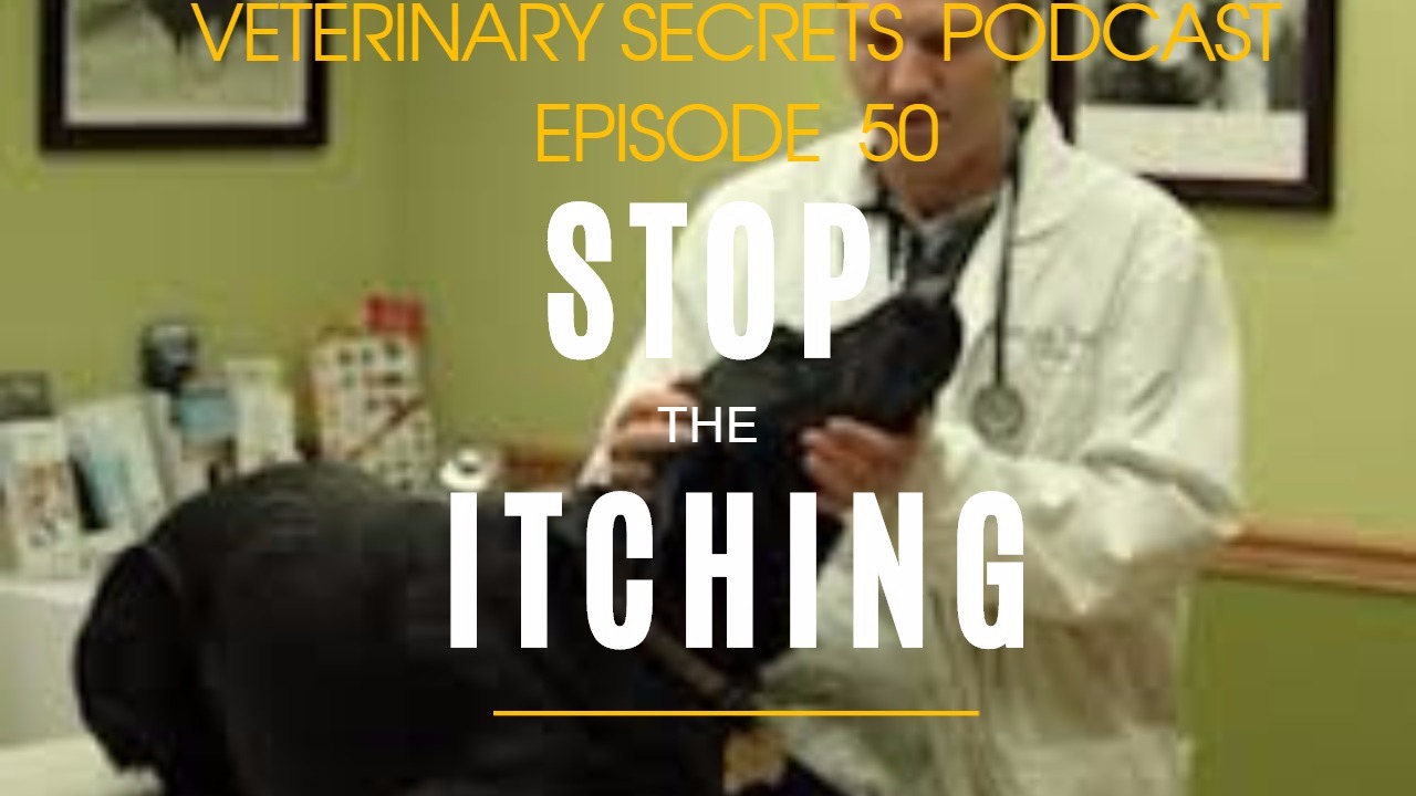 [Ep 50] Stop the Itching, Denver Banning De-Claws, Alphalipoic Acid