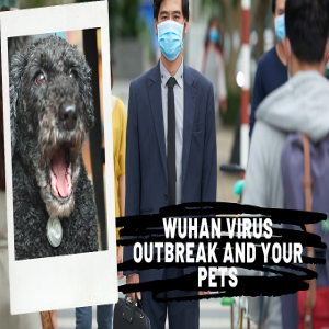 [Ep 69] Wuhan Coronavirus and Pets, Natural Flu Remedies