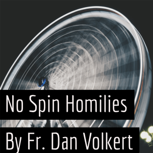 No Spin Homilies - 33rd Sunday in Ordinary Time