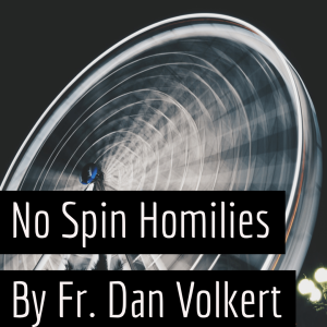 No Spin Homilies - 24th Sunday in Ordinary Time
