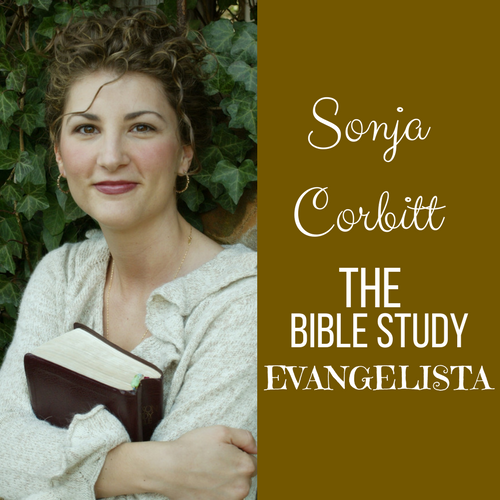 Bible Study Evangelista - A Woven Veil: The “How” of the OT