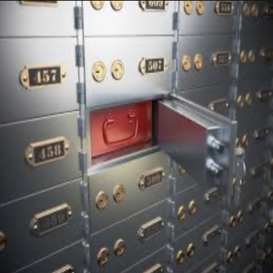 Safety Deposit Box or Home Safe?