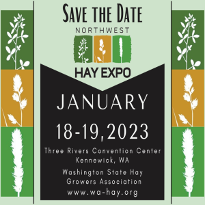 Hay Kings: Hay Expo (S4:E15)