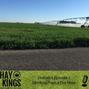 Hay Kings: Drinking from a Fire Hose (S4:E1)