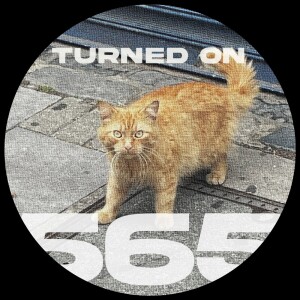 #565: Axel Boman, Dino Lenny, Archie Hamilton, Lex Wolf, Ghosten