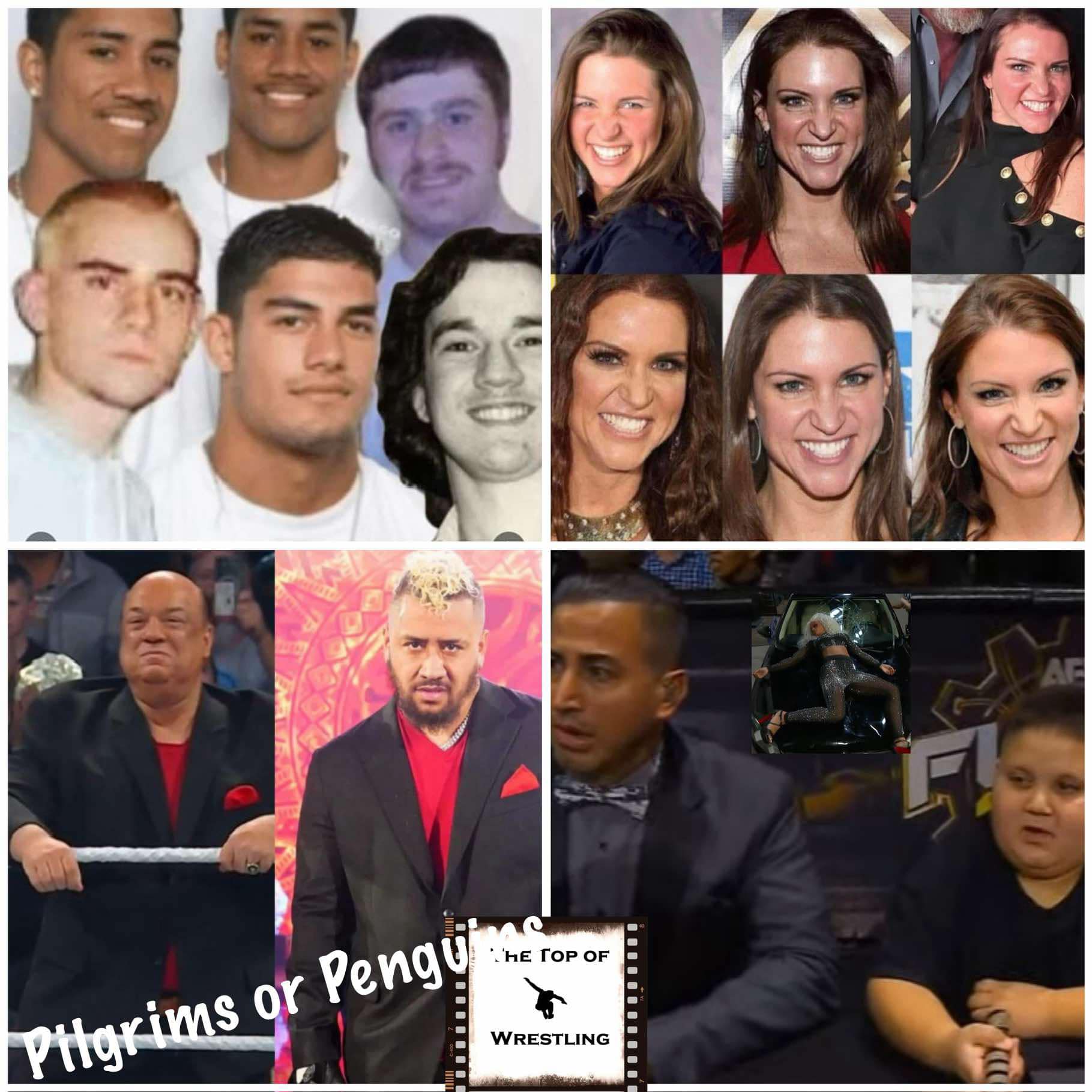 Episode 615 - Pilgrims or Penguins