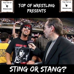 Episode 24 - Sting or Stang?