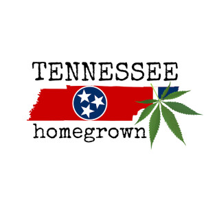 Full Contact Cannabis talks Hemp Derived Cannabinoids, Kentucky Basketball and the 2023 Farm Bill...