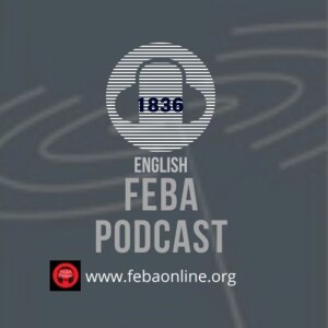 Focused Unity - English