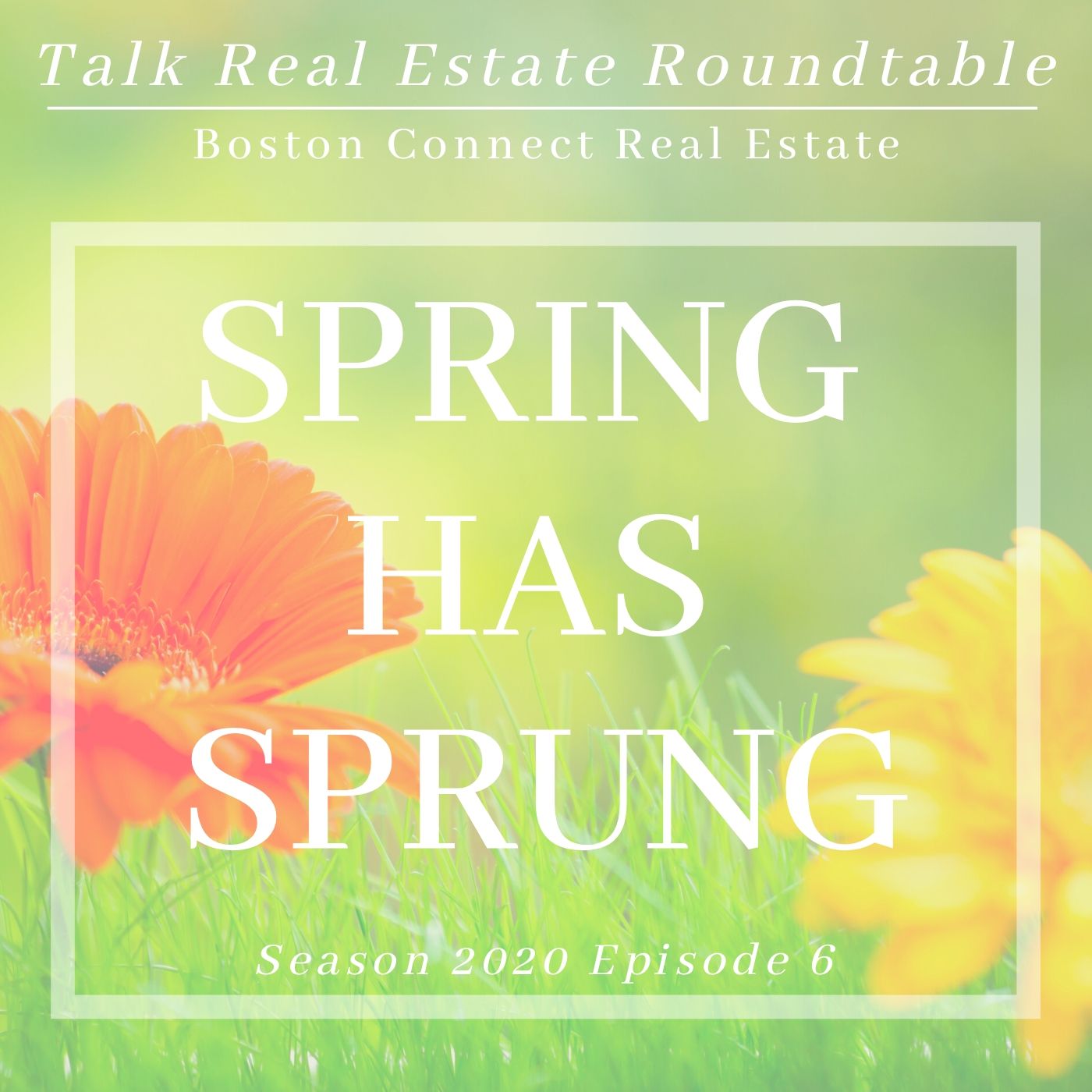 Talk Real Estate