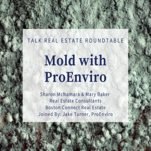 MOLD - That Other Four Letter Word