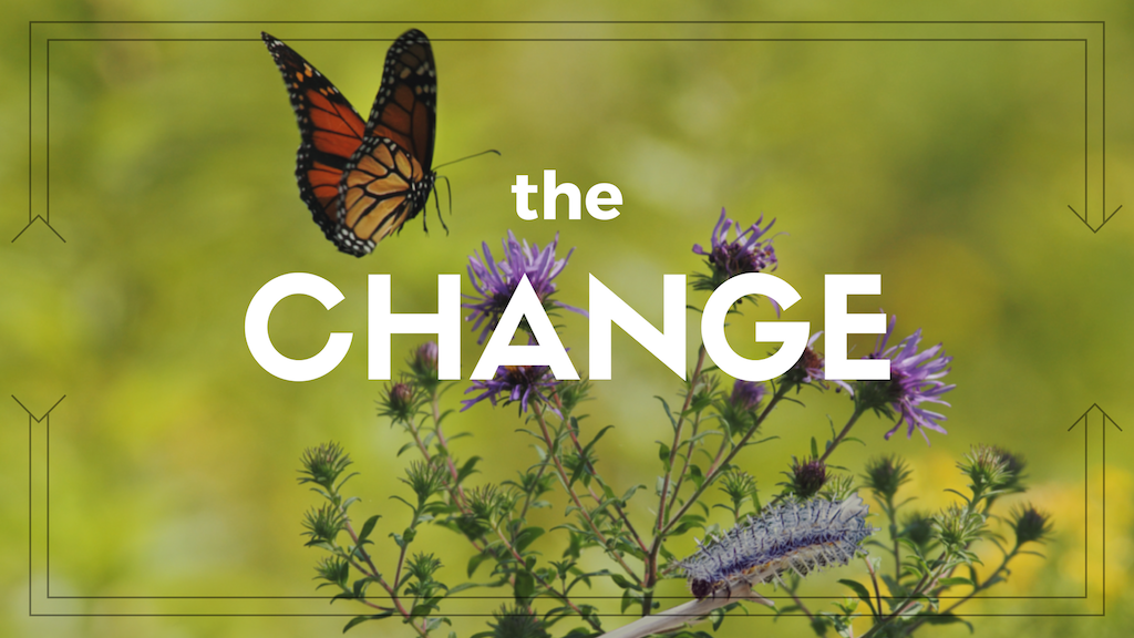 The Change: Think.