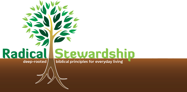 Radical Stewardship Seminar