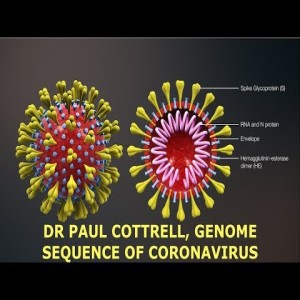 Bioweapon? Ph.D. Explains Coronavirus & It's Genome Sequence, Dr Paul Cottrell