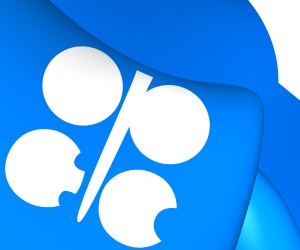 December Opec Meeting: What’s to Come One Year Into the Market Share Policy?