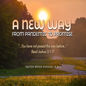 A New Way: From Pandemic to Promise