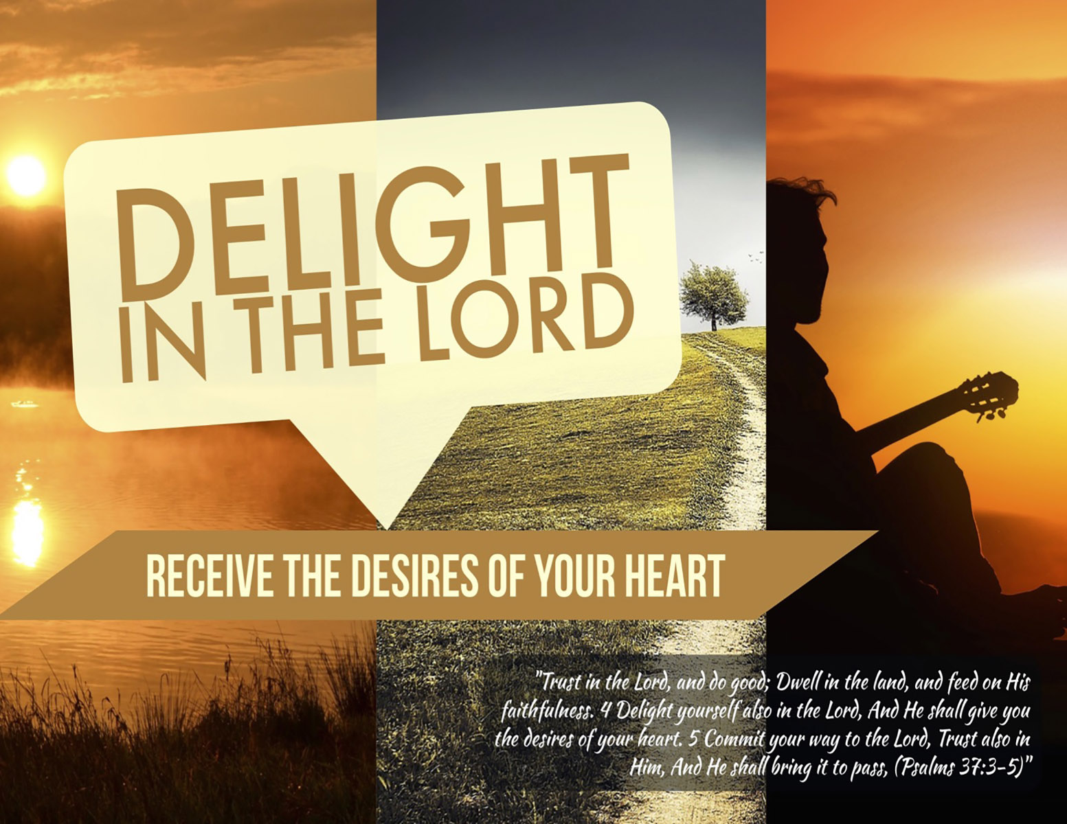 Delight in the Lord: Receive the Desires of Your Heart