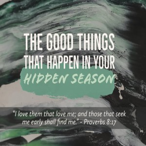 The Good Things That Happen In Your Hidden Seasons