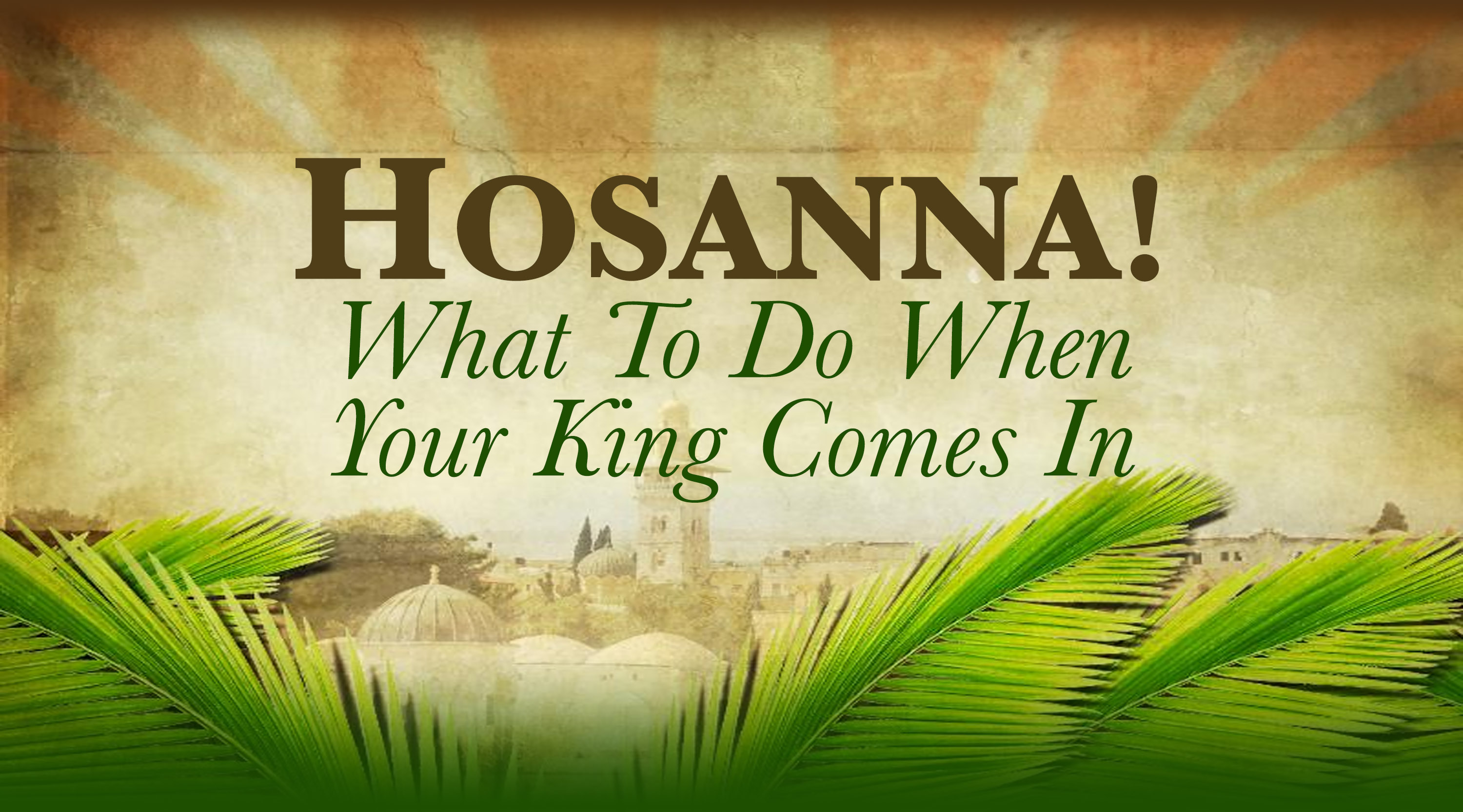 Hosanna: What to do When Your King Comes In