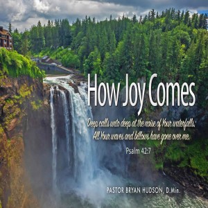 How Joy Comes  - Finding Your Voice of Joy