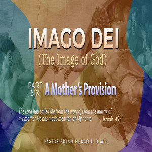 Imago Dei (Image of God), Part Six - A Mother's Provision