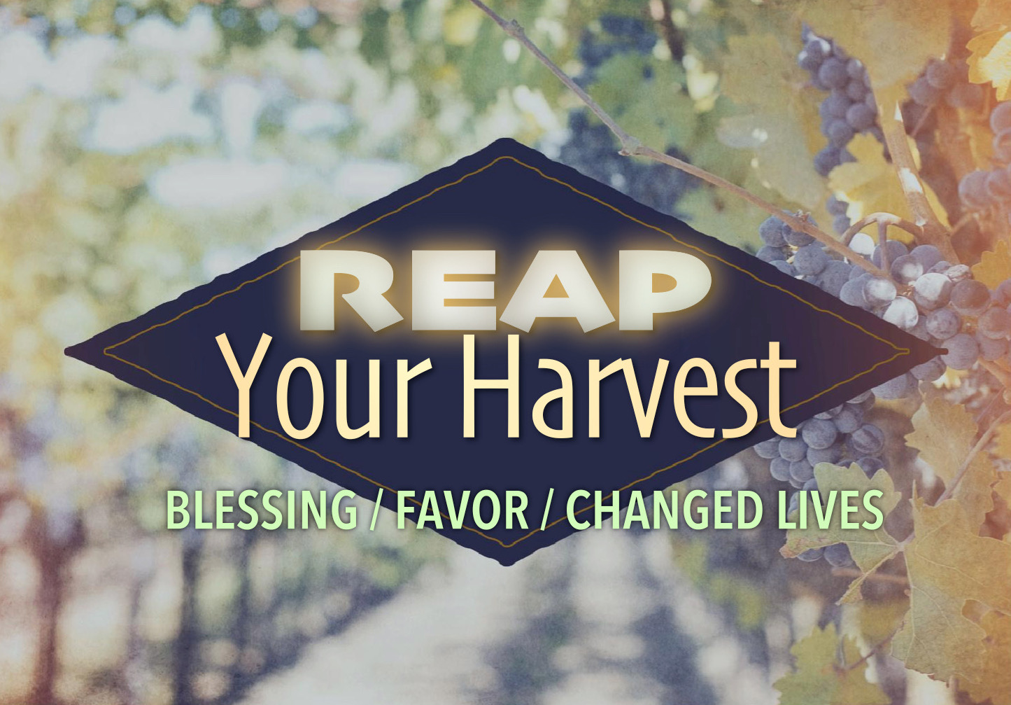 Reap Your Harvest: Provision, Favor, Changed Lives