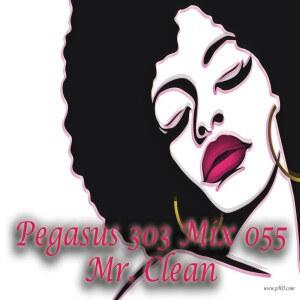 Pegasus 303 Mix 055 – Deep House | Tech House | 1-Hour DJ Set by mrclean 🎧🌃