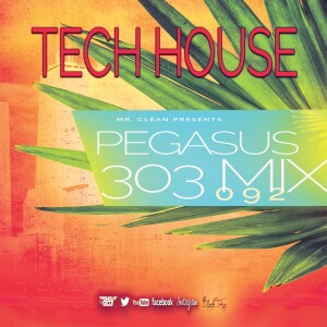ποΈ Pegasus 303 Mix 092 | Tech House DJ Set | mrcleanποΈποΈ