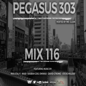 Deep House & Techno Pegasus 303 Mix 116