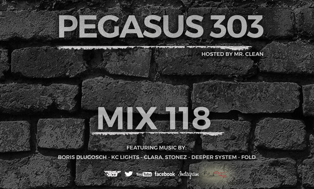 The Pegasus 303 Mix