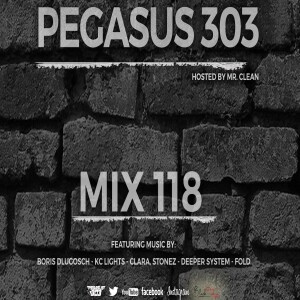 Deep Tech House Pegasus 303 Mix 118