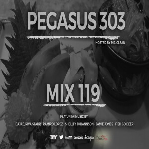 House and Tech House Pegasus 303 Mix 119
