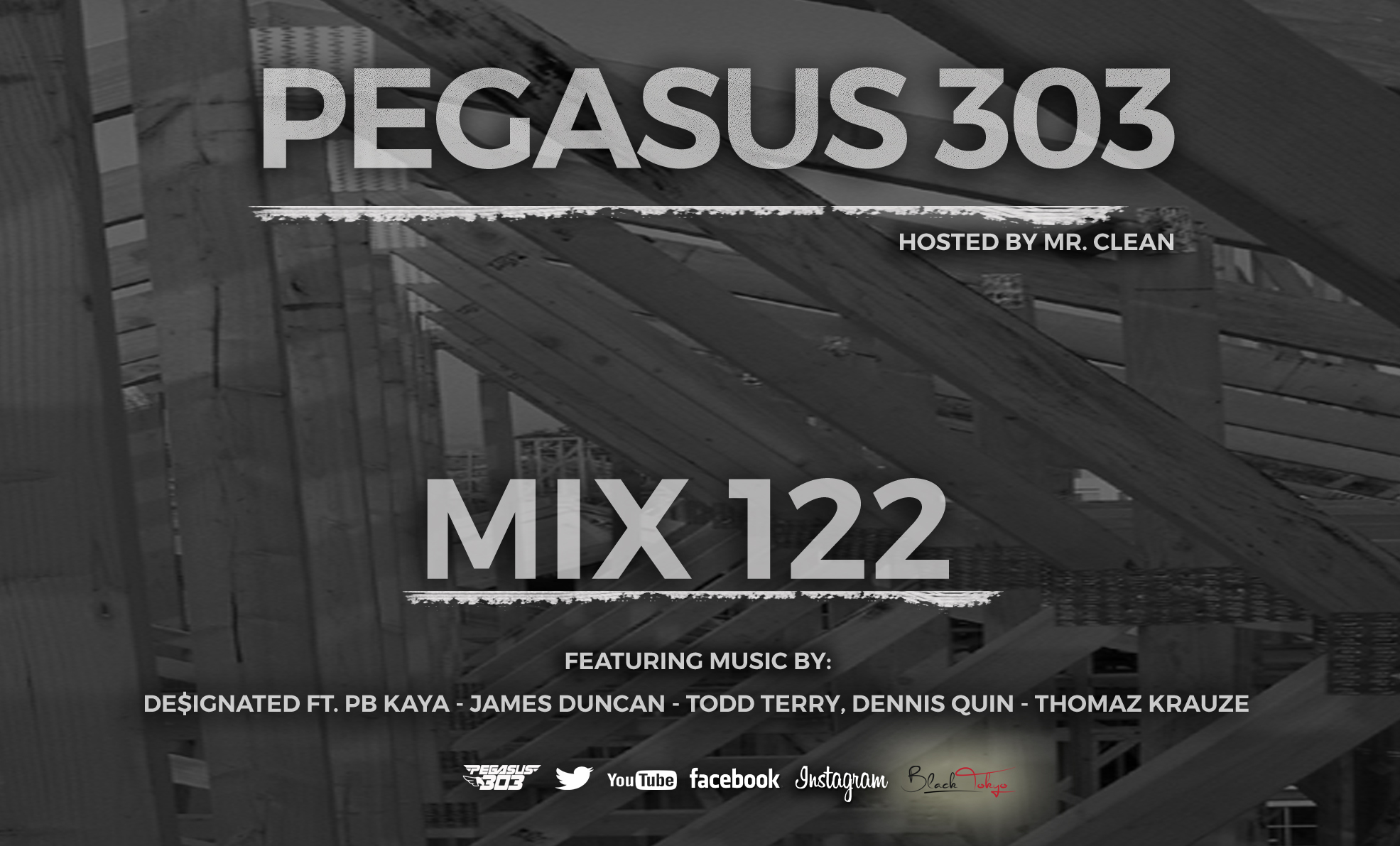 The Pegasus 303 Mix