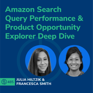 #485 - Amazon Search Query Performance & Product Opportunity Explorer Deep Dive