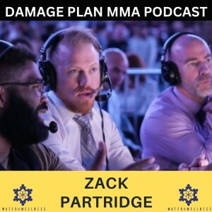 FFC 29 FIGHT WEEK PREVIEW | DAMAGE PLAN MMA PODCAST