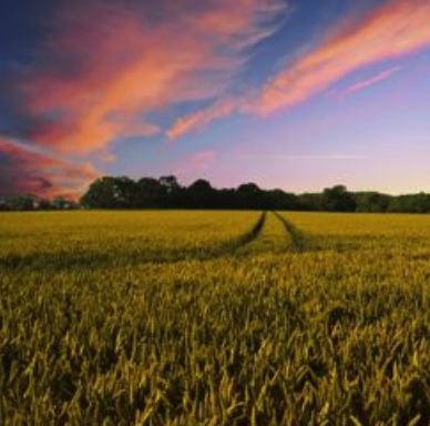 CCL Agriculture Action Team Webinar: Investing in Rural America (Audio)